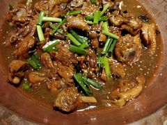 -成老灶火锅鸡(高东街店)