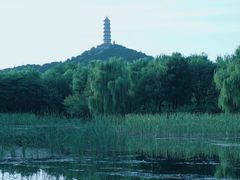 -北坞公园