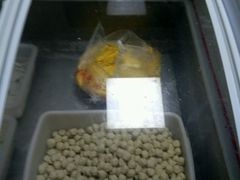 -小田乌鱼排(济宁总店)