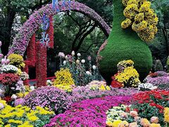 -杭州植物园