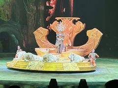 -广州长隆国际大马戏