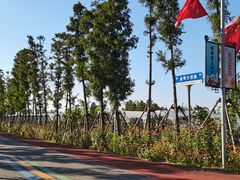 -上海长兴岛郊野公园