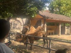 -南昌动物园