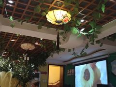 -新疆儿子娃娃餐厅(锦华街店)
