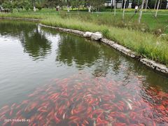 -西海子公园