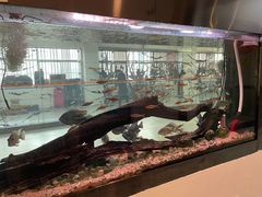 -弓舍射箭俱乐部(高新总店)