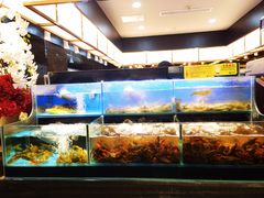 -苏格里岛自助烤肉海鲜火锅(成都金牛万达店)