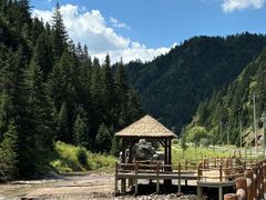 -芦芽山旅游度假区