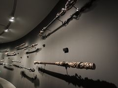 -中国美术学院-美术馆