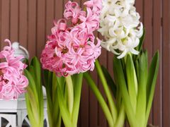 -胖子馄饨坊(天目路店)