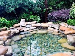 -天目湖涵田半山温泉