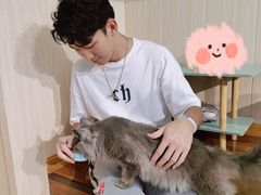 -绒爪撸猫下午茶·猫咖