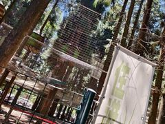 -武陵山森林公园