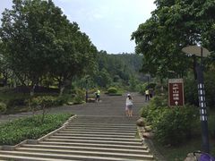 -火炉山森林公园