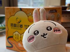 -润园四季椰子鸡火锅(南山海岸城店)