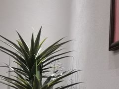 -美庐餐厅·湖北菜·吴佩孚公馆(南京路店)