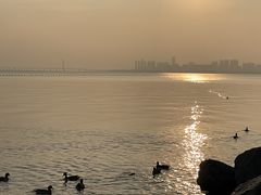 -深圳湾公园(南山区)