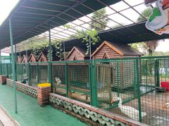 -同里湖度假村(二期店)