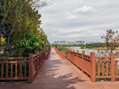 -立新湖公园