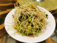 凉爽荞麦苗-兴农记