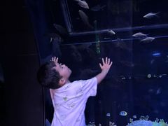 -成都浩海立方海洋公园