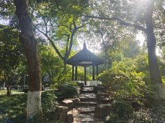 -墅园