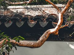 -秋霞圃