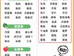 -瑞派宠物医院东莞中心医院·24H转诊·异宠(新河北路院)