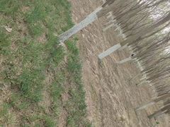 -西青郊野公园