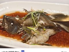 -徐记海鲜·家宴(南油永新汇店)