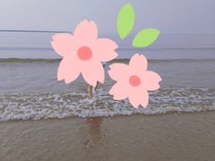 -金梦海湾浴场