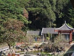 -清湖文化公园