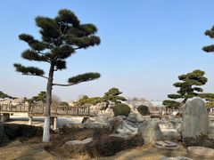-中国唐苑