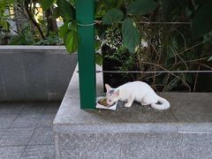 -荔湾湖公园