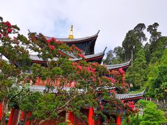 -木府