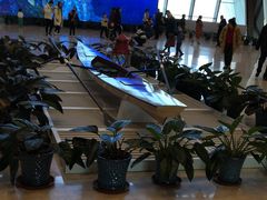 -贝林大翅鲸简餐厅(国家海洋博物馆店)