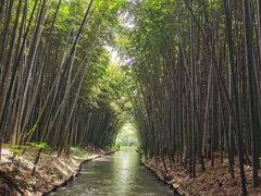 -同里国家湿地公园