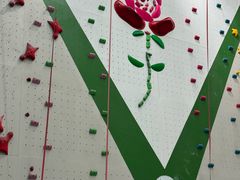 -绿壁虎攀岩基地(Tcar店)
