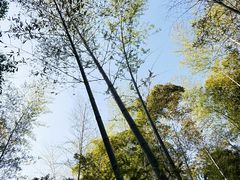 -苏州河梦清园环保主题公园