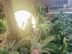 -宏宴·新京菜(望京店)