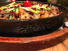 -老板恋上鱼(印象城店)