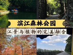 -上海滨江森林公园
