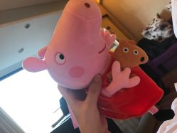 点击看大图 -琅悦月子会所(香格里拉旗舰店)