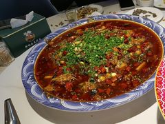 -新概念来凤鱼(璧山店)