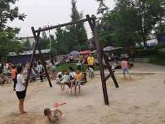 -成飞公园