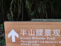 -海口火山口国家地质公园