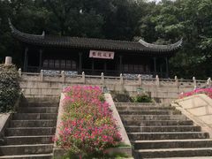 -苏州上方山国家森林公园