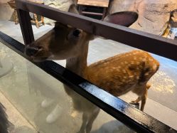 -酷嗒动物文化乐园(cutezoo西溪乐天城店)