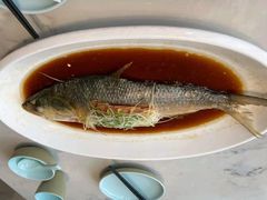 糟香鲥鱼-天福苑(崇宁路店)