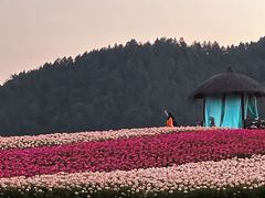 -径山花海